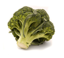 broccoli isolated on white