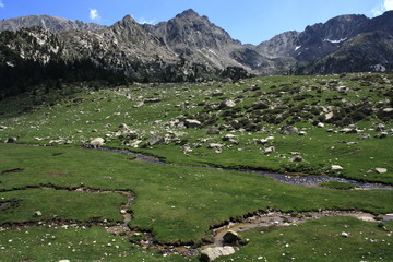 Fototapeta na wymiar alpejskie łąki w Andorze