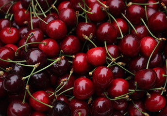 Obraz na płótnie Canvas Süße Kirschen - Sweet Cherries