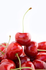 cherry