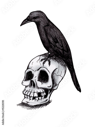 quot totenkopf mit rabe quot stockfotos und lizenzfreie bilder auf quot totenkopf mit rabe quot stockfotos und lizenzfreie bilder auf