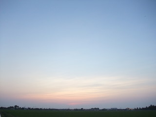 Obraz premium Evening sun - 090626