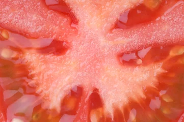  Tomatenplak Close-up © Edie Layland