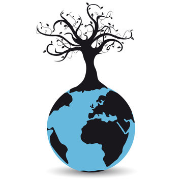 Terre arbre
