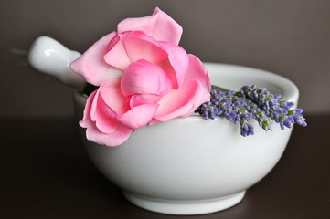 Rosenblüte mit Lavendel in Mörser