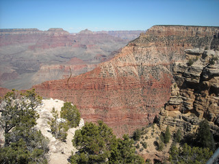 The Grand Canyon in Arizona