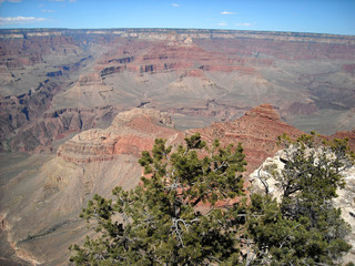 The Grand Canyon in Arizona