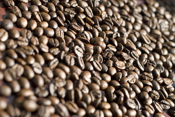 coffee beans background in perspective
