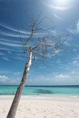 Malediven - Angaga - Maldives