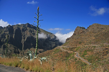 Landschaft Teneriffa
