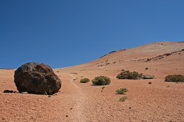 Teide-Eier