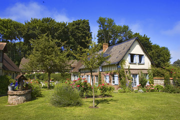 Fototapeta na wymiar Francja, Normandia, pozbawionymi kręgosłupa--róż: szachulcowy dom, ogród