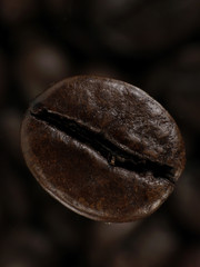 Coffee bean in deep shadows over unfocused grains background