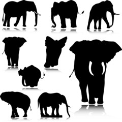 elephant silhouettes