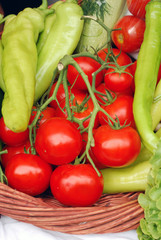 tomatoes