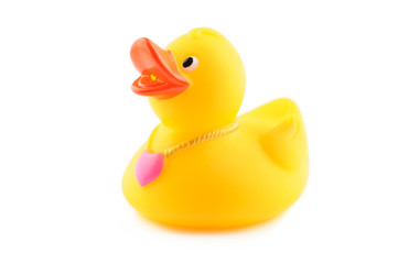 Female rubber duck