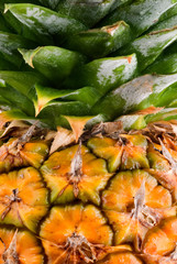 Close crop shot of Pineapple
