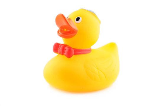 Male rubber duck