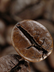 Coffee bean in deep shadows over unfocused grains background