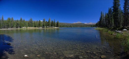 Fototapeta premium Yosemite - USA