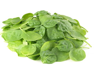 Spinach leaves on studio isolated background