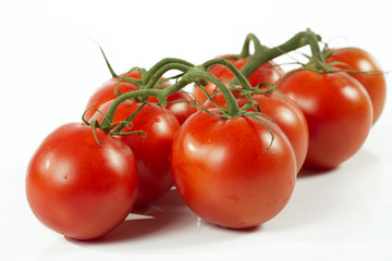 Tomato