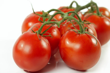 Tomato