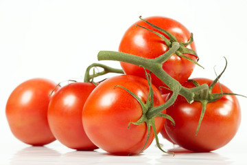 Tomato