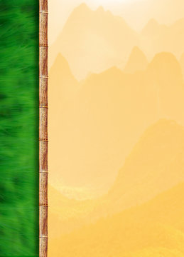 Bamboo and grass background montage