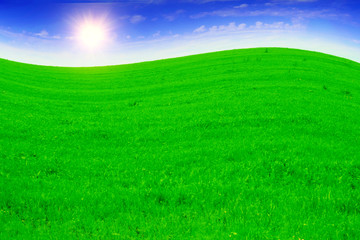 Fototapeta na wymiar Green field,sun and blue sky.