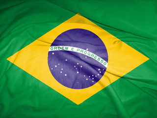 BRASIL FLAG - obrazy, fototapety, plakaty