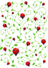 Summer background with ladybirds
