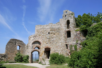 Fototapeta na wymiar Castle ruin