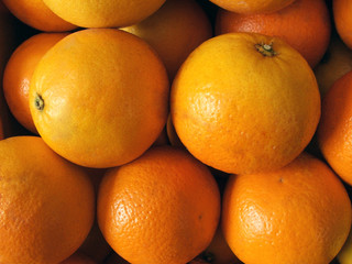 Arance (Citrus × sinensis)