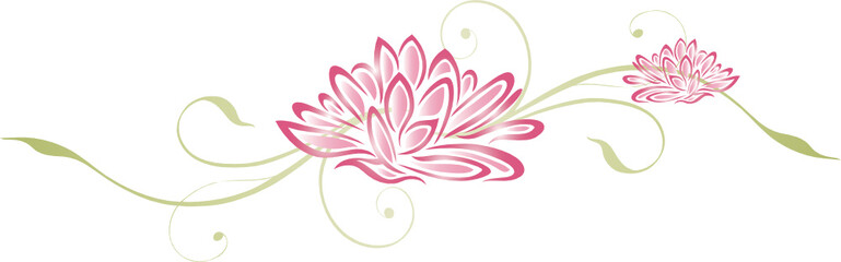 Lotusblüten, Lotusblumen, Lotus, Seerosen