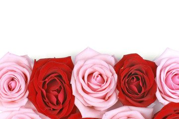 Rosen