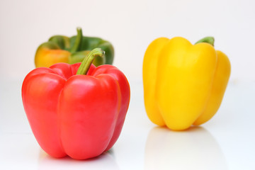 colored paprika isolated on white