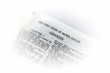 Naklejka premium bible open to genesis vignette