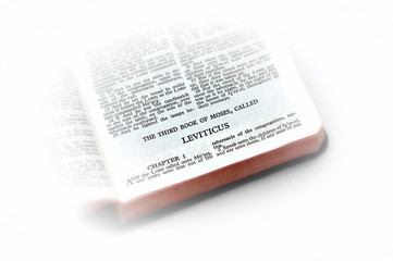 bible open to leviticus vignette