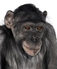 Papier Peint photo autocollant Singe close-up on a monkey's head