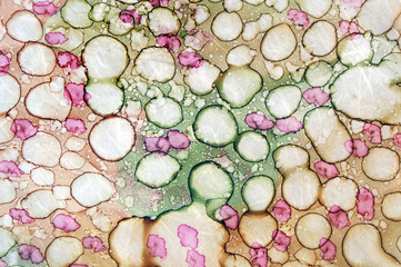 Obraz na płótnie Canvas Fundo célula