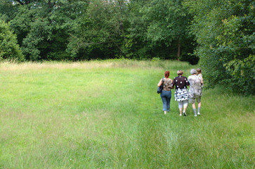 Obraz premium Menschen spazieren