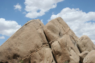 Joshua Tree