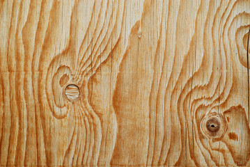 Obraz premium tekstura drewna