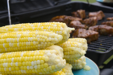 Corn with Ribs in the Background