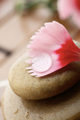 Flower petal resting on rounded pebbles.