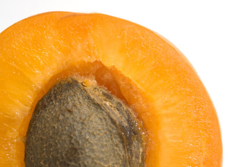 apricot isolated on white background