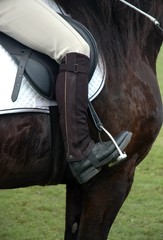 horsemanship © Arkadiusz Komski