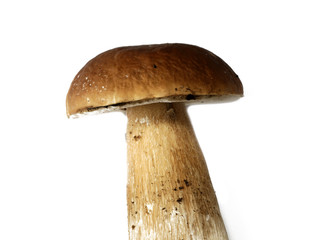 cep