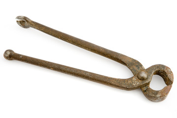 Obraz premium nail nippers